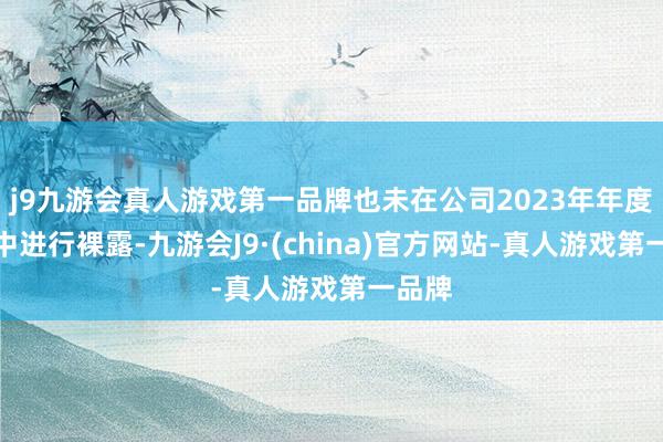 j9九游会真人游戏第一品牌也未在公司2023年年度论说中进行裸露-九游会J9·(china)官方网站-真人游戏第一品牌