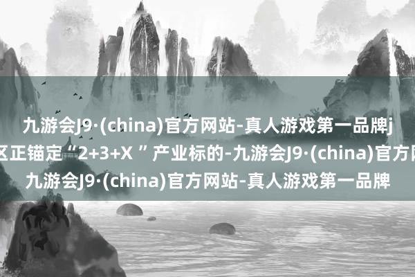 九游会J9·(china)官方网站-真人游戏第一品牌j9九游会官方网站庐阳区正锚定“2+3+X ”产业标的-九游会J9·(china)官方网站-真人游戏第一品牌