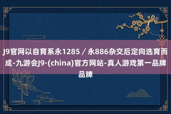 J9官网以自育系永1285／永886杂交后定向选育而成-九游会J9·(china)官方网站-真人游戏第一品牌