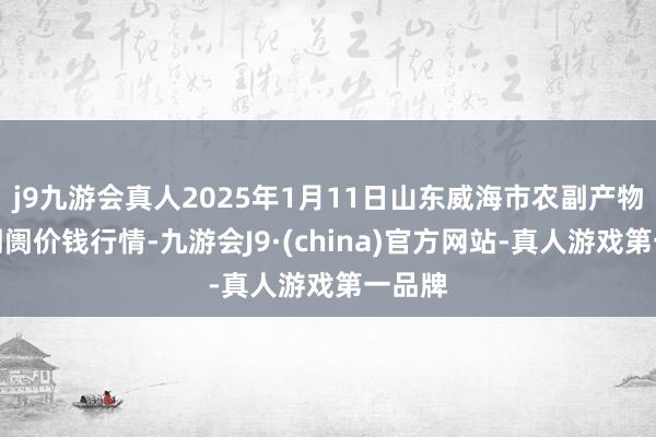 j9九游会真人2025年1月11日山东威海市农副产物批发阛阓价钱行情-九游会J9·(china)官方网站-真人游戏第一品牌